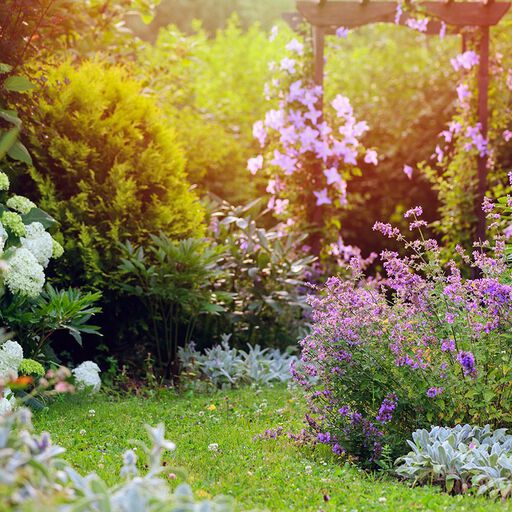 Romantisk hage – en oase av blomstrende skjønnhet og duft