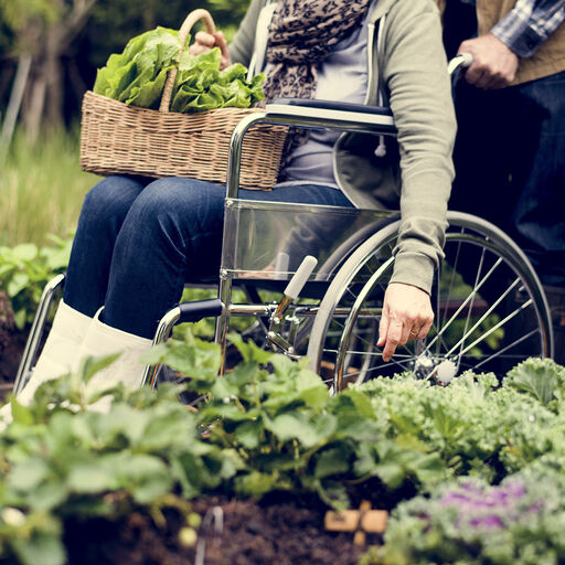 En hage for alle – å dyrke med nedsatt bevegelsesevne eller sykdom