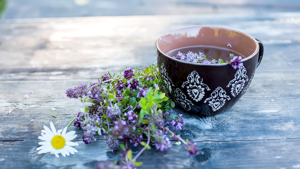 Dyrk din egen te – 6 planter til tekoppen