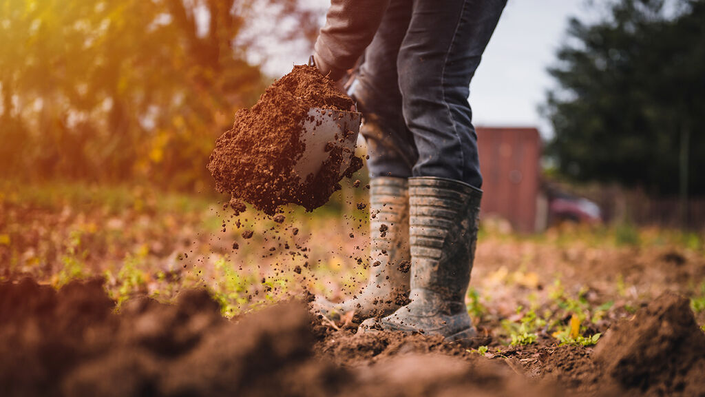 Få en pangstart i hagen til våren – forbered jorden allerede i høst