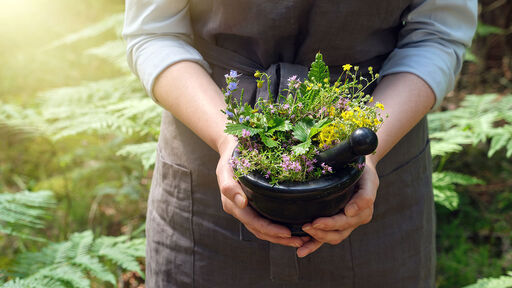 6 planter du kan dyrke til husapoteket