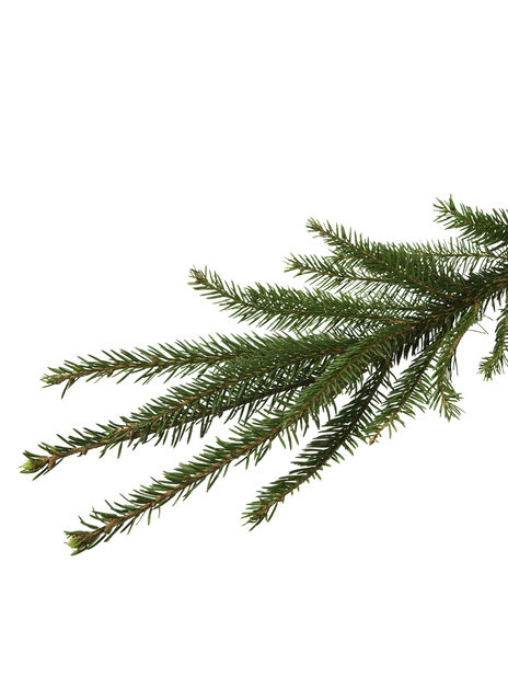 Juletre, Høyde 100-140 cm, Grønn
