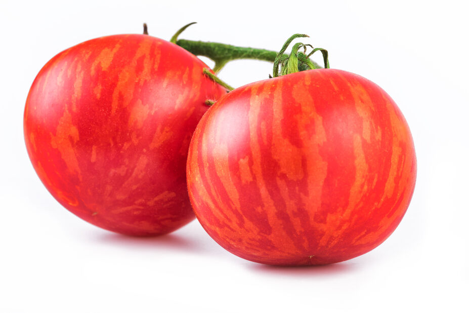 Tomat 'Tigerella', Ø10.5 cm, Rød