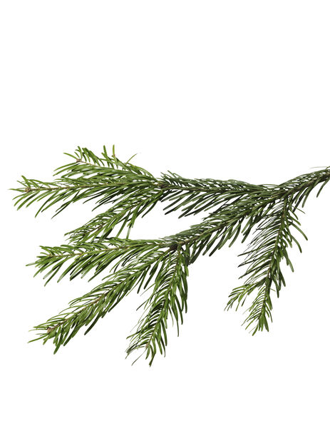 Edelgran, Høyde 150-175 cm, Grønn
