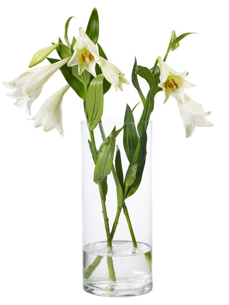 Vase Jennifer , Høyde 40 cm, Transparent