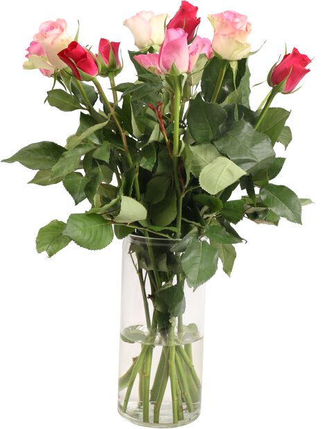 Roser 12pk, Høyde 40 cm, Flere farger