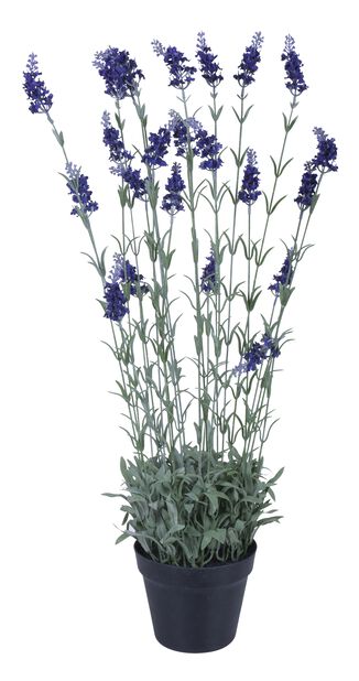 Lavendel kunstig, Høyde 76 cm, Beige