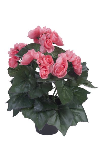 Begonia kunstig, Høyde 32 cm, Rosa