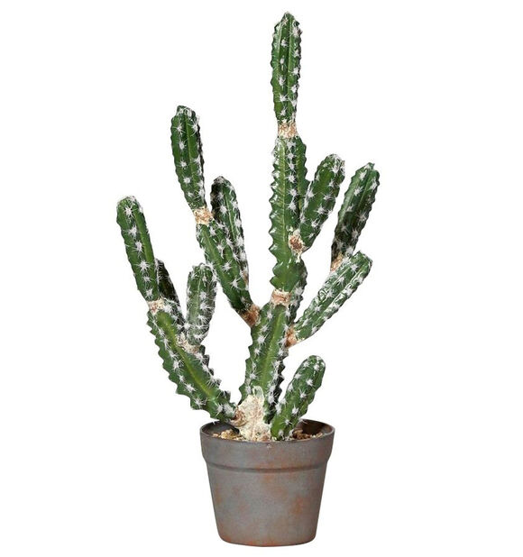 Kaktus kunstig Høyde 63 cm Grønn | Plantasjen